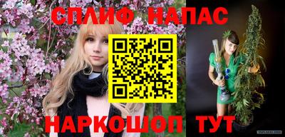 бошки Тверь