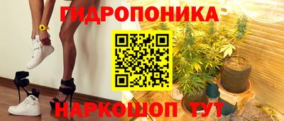 бошки Тверь