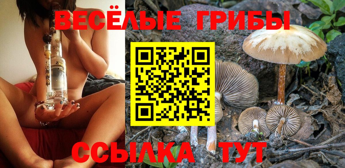 Псилоцибиновые грибы мухоморы  Вход с VPN  наркота  Алушта 