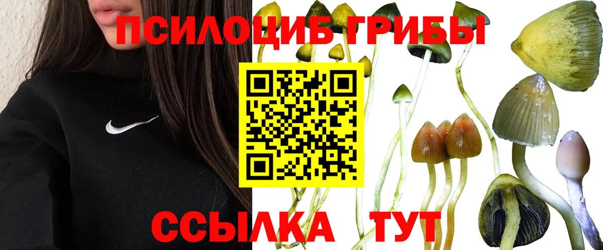 Галлюциногенные грибы ЛСД Алушта