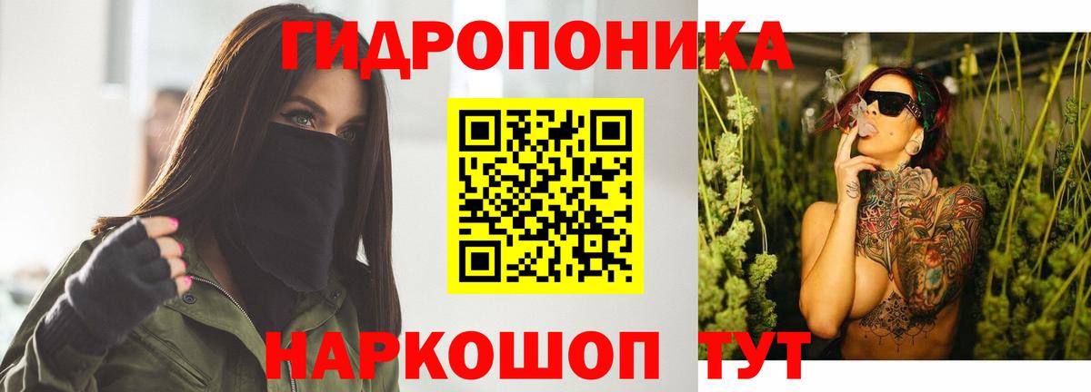 Бошки марихуана сатива Алушта